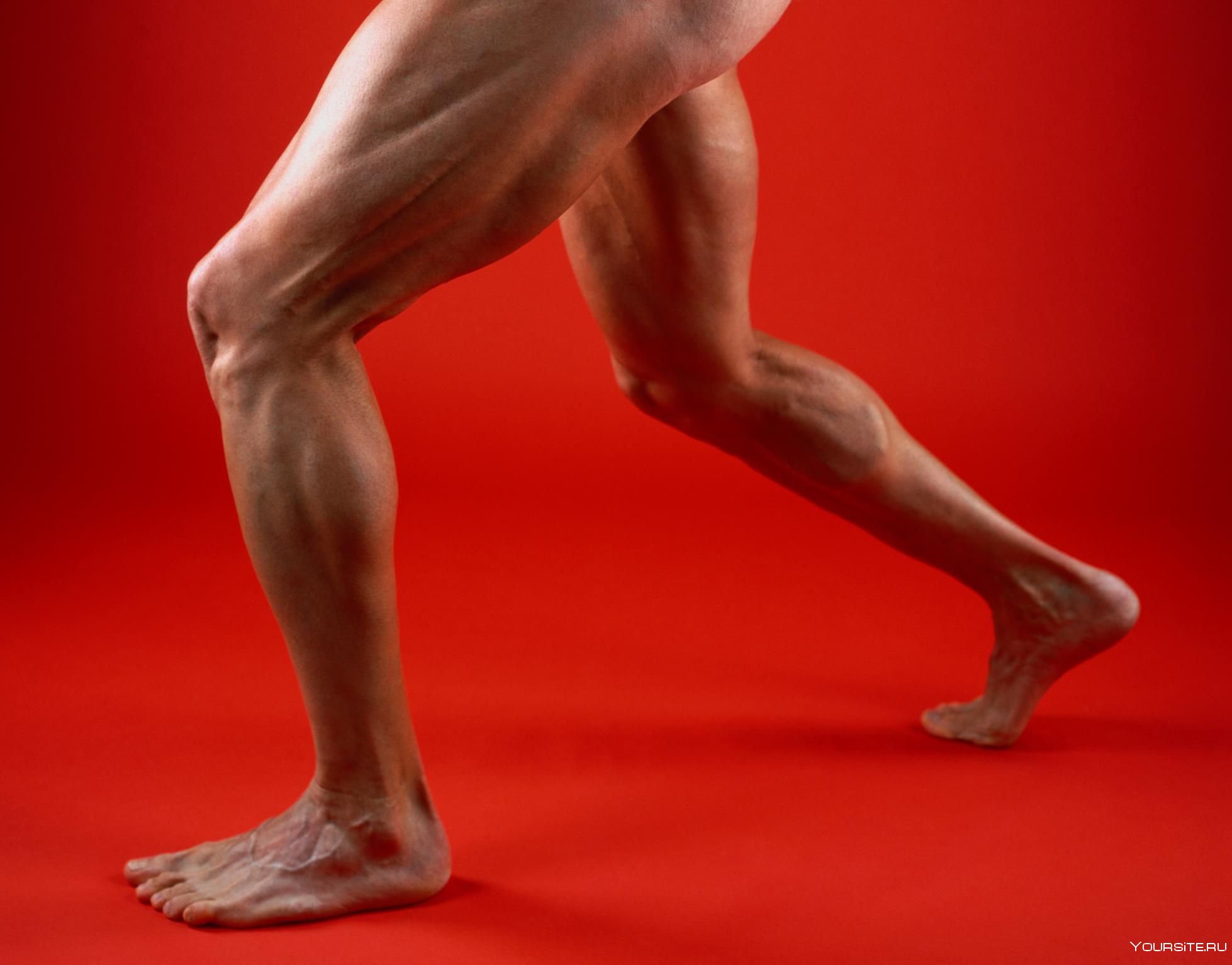 Мускулистые ноги