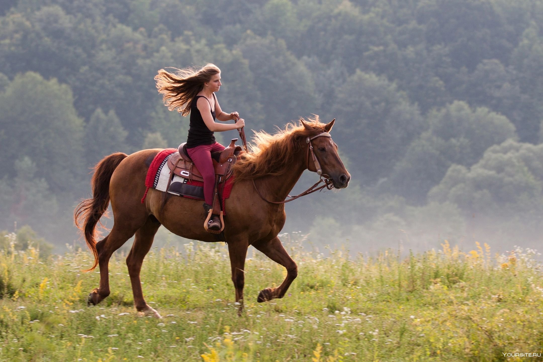 Девушки катаются на лошадях