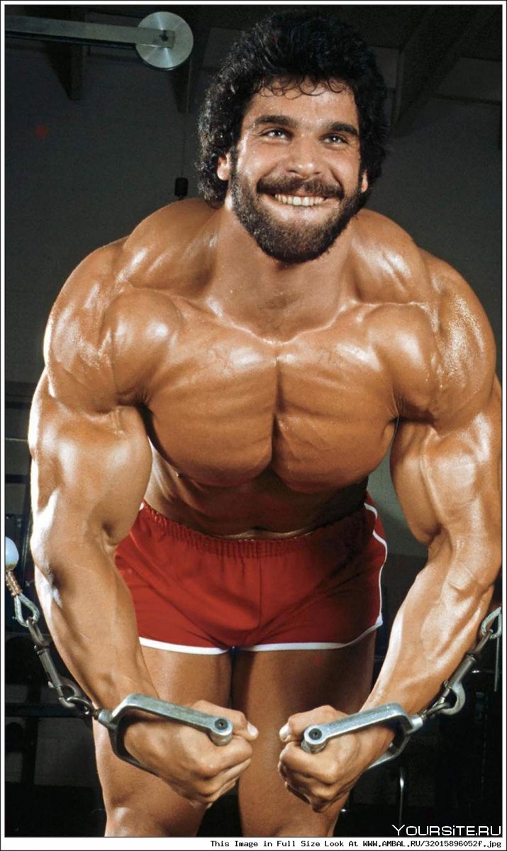 Lou Ferrigno Gym Shark i Steve Cook