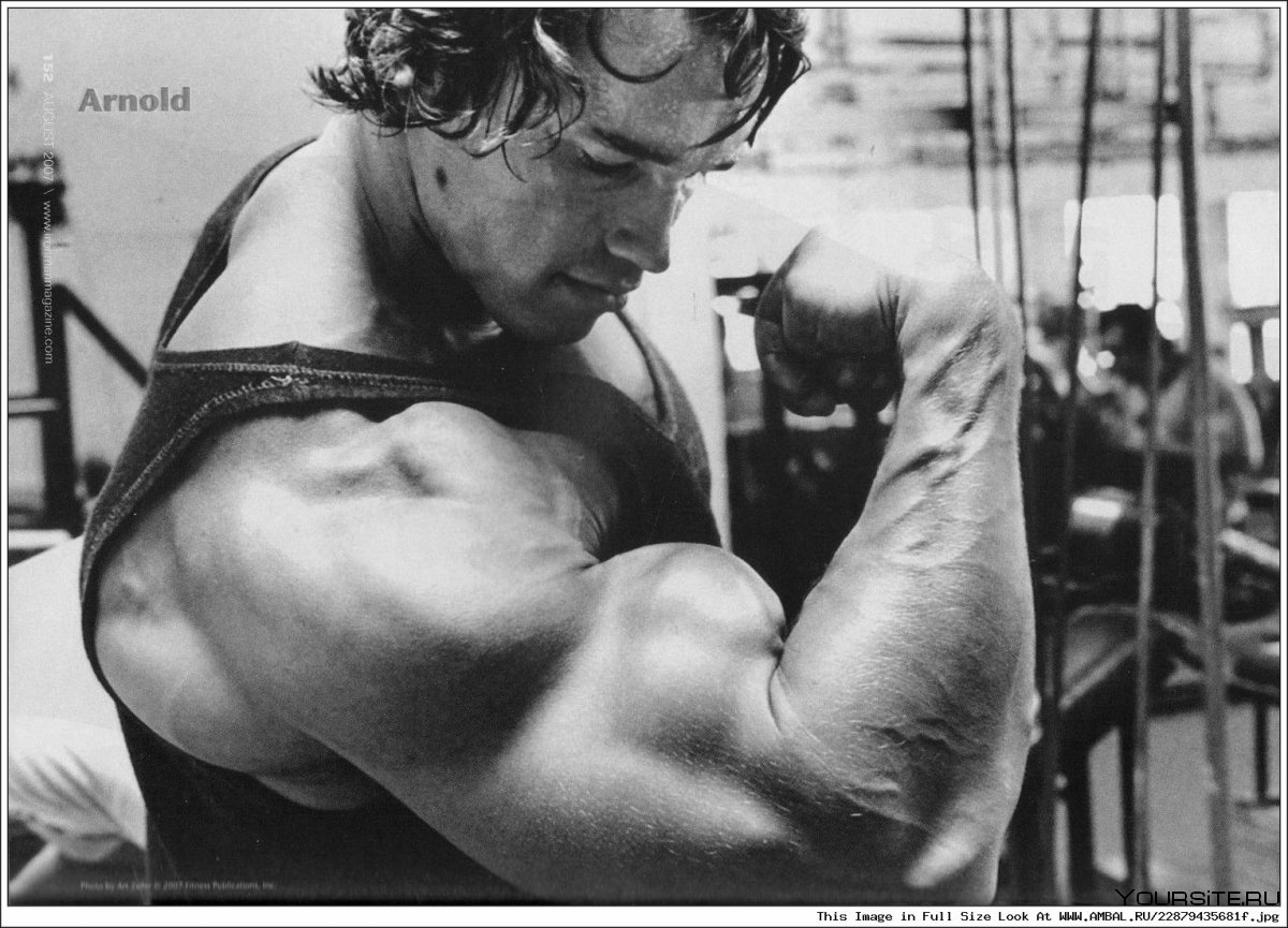Арнольд Шварценеггер 1979