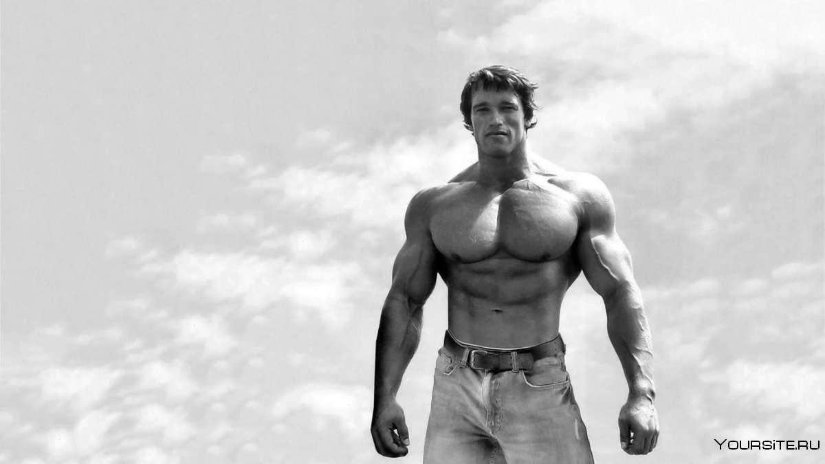 Arnold Schwarzenegger 2001