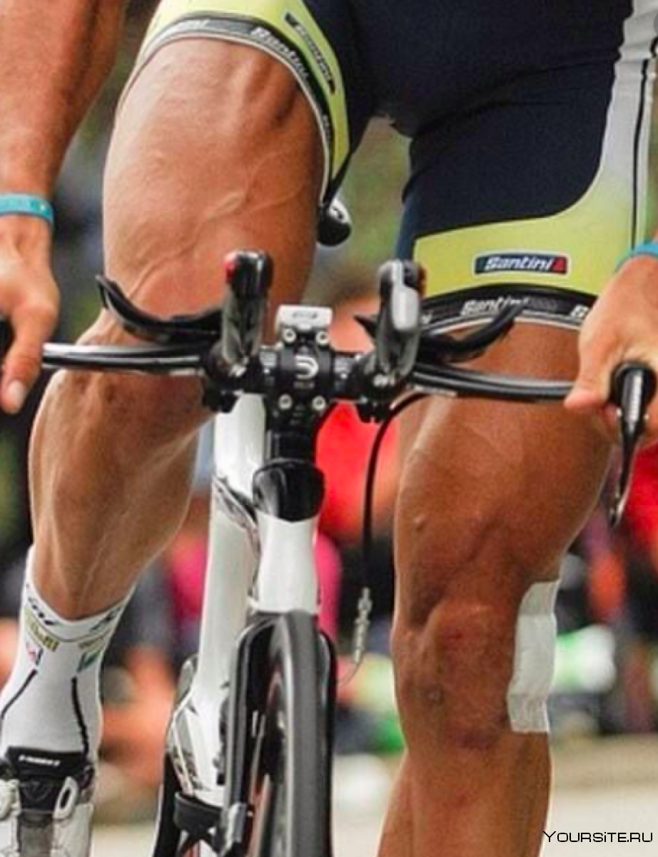 Катание на велосипеде какие мышцы. Robert Forstemann. Robert Forstemann ноги. Рикардо Росси велогонщик. Фигура велосипедиста.