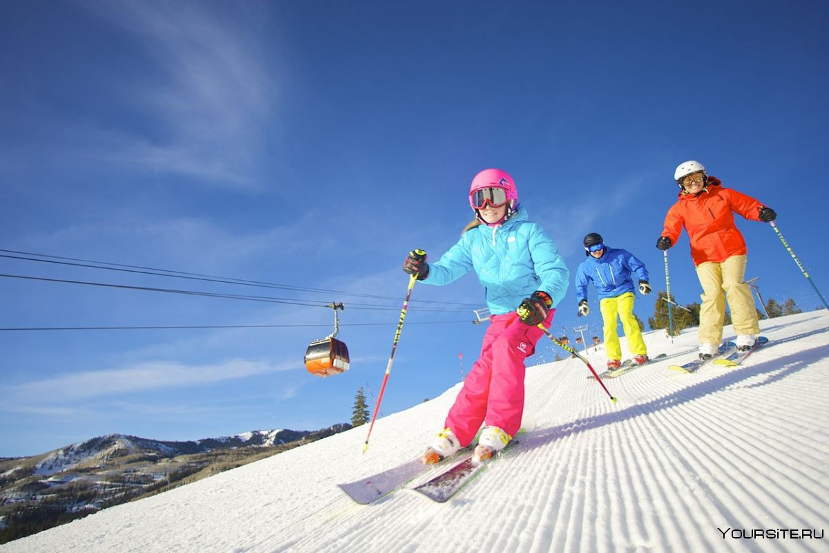 Спортивная семья на лыжах спиной