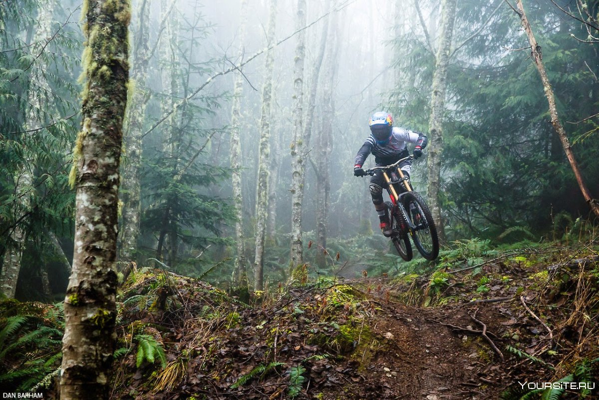 Downhill на велосипеде в туман