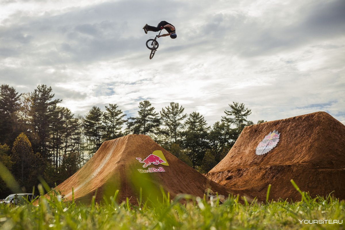 BMX Dirt