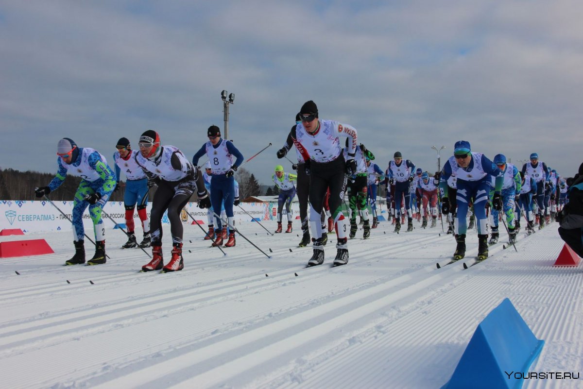 Лыжники Республики Коми