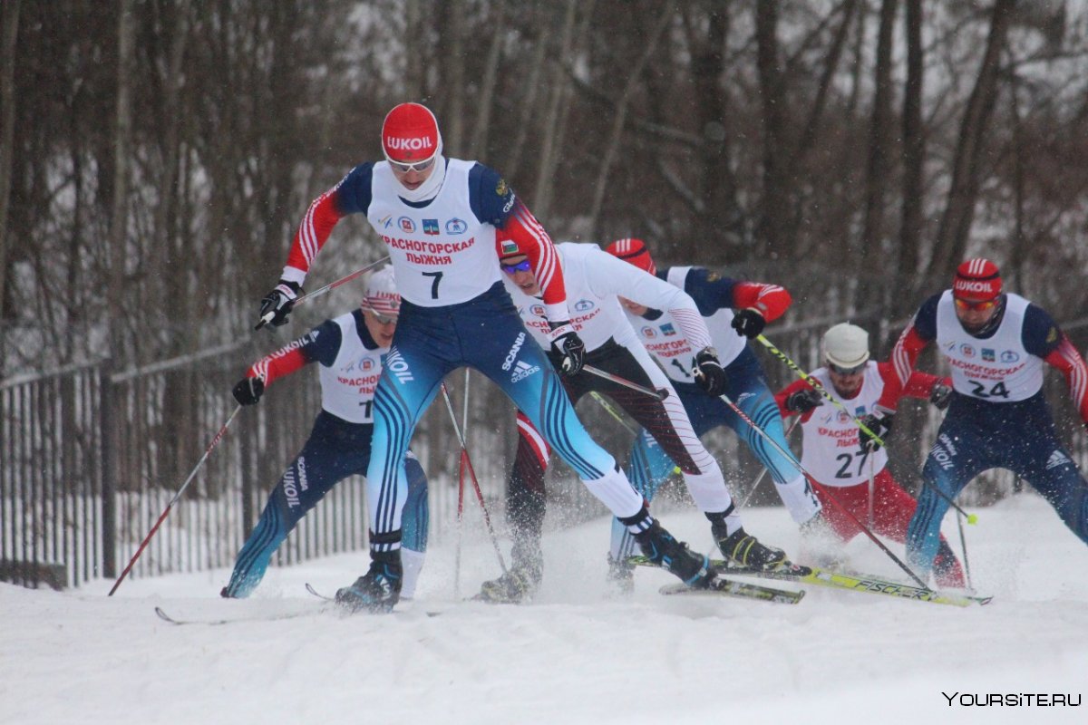 Тренеры сборной Республики Коми по лыжным гонкам