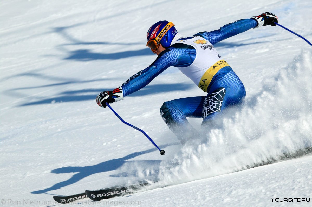Конькобежный и лыжный спорт
