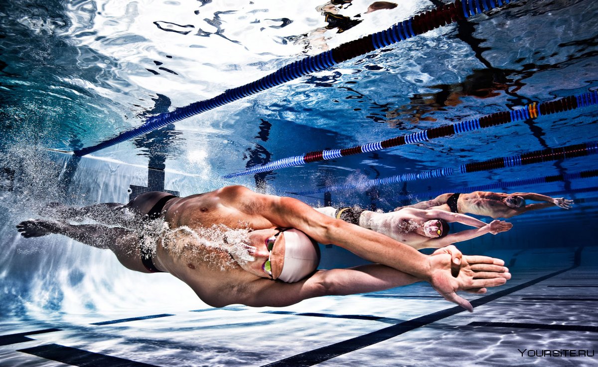 Спорт Эстетика плавание