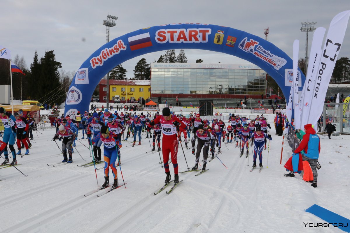 Кондрашов Дмитрий лыжные гонки