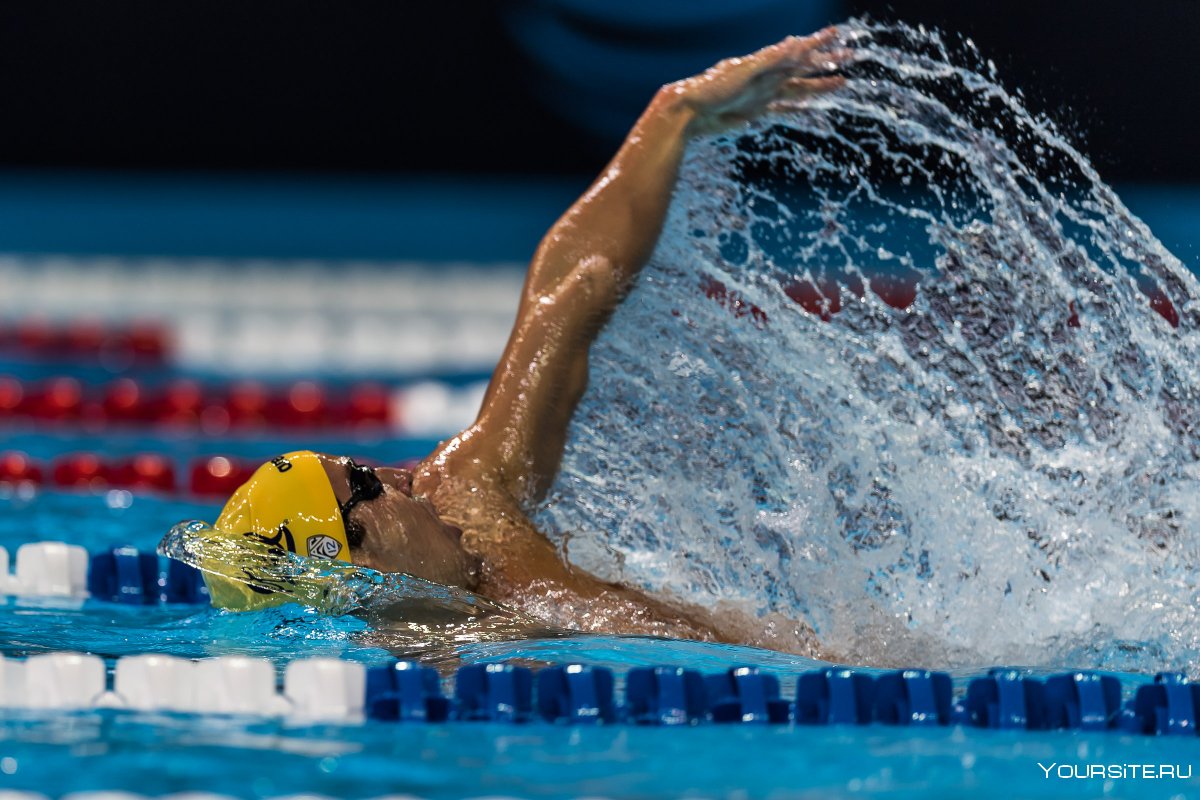 Евгений Рылов Чемпионат мира 2019