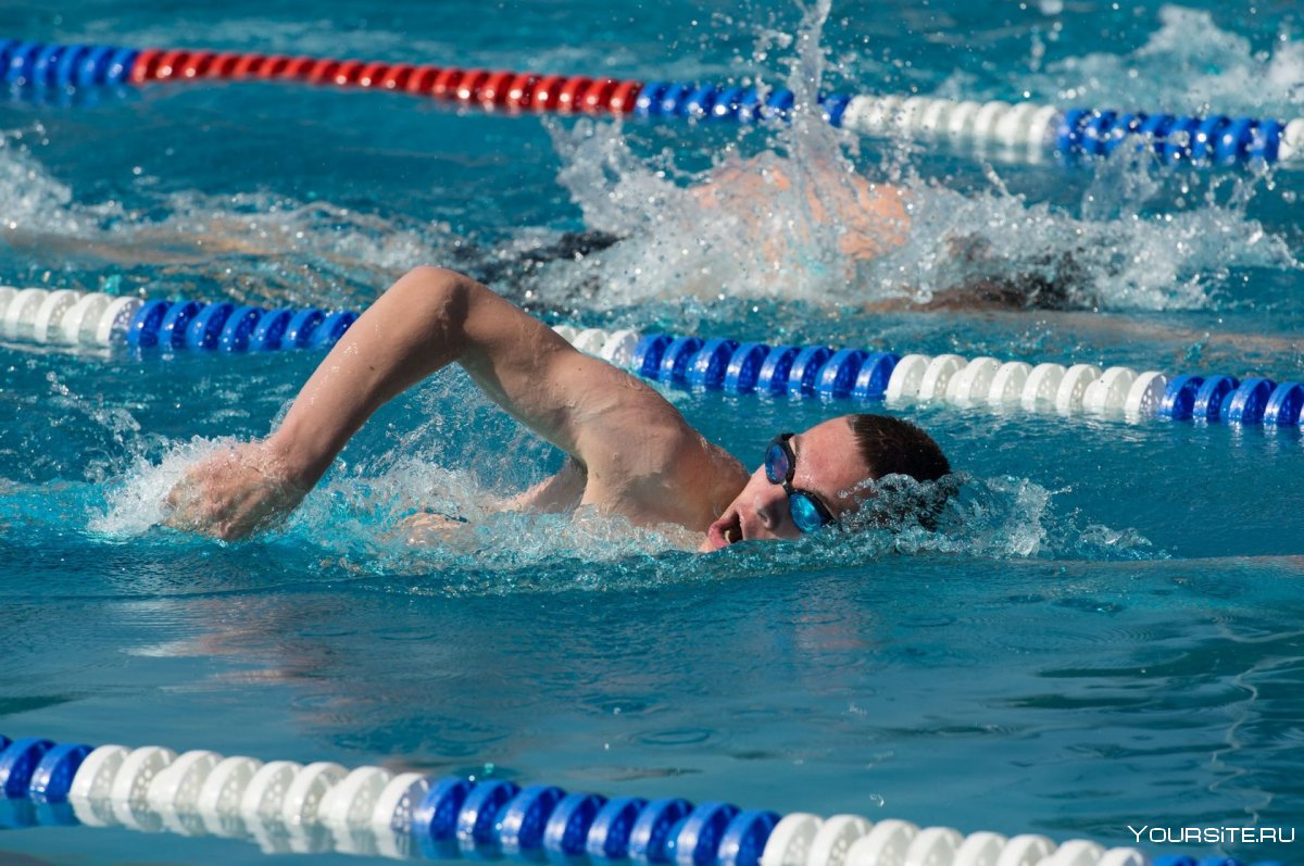 Соревнования по плаванию мужчины