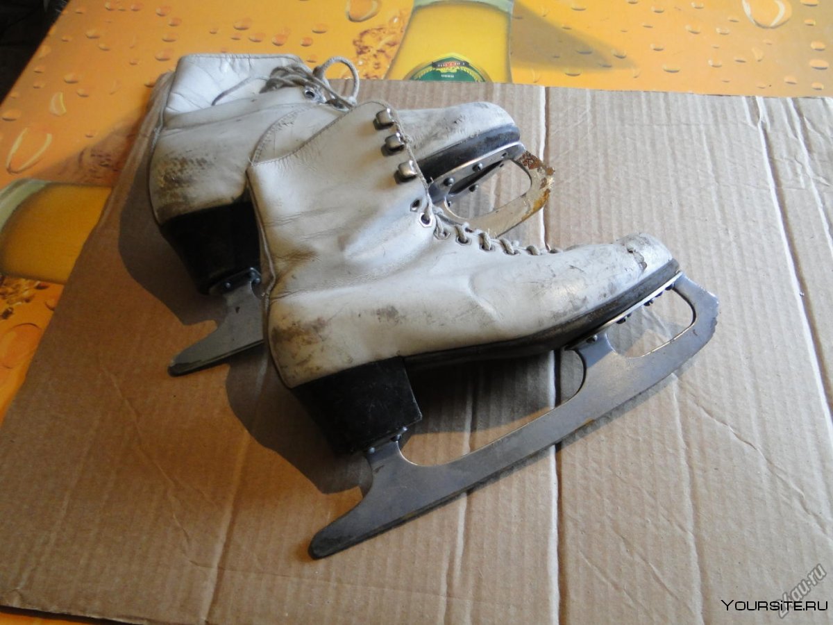 Коньки бегаши 1965