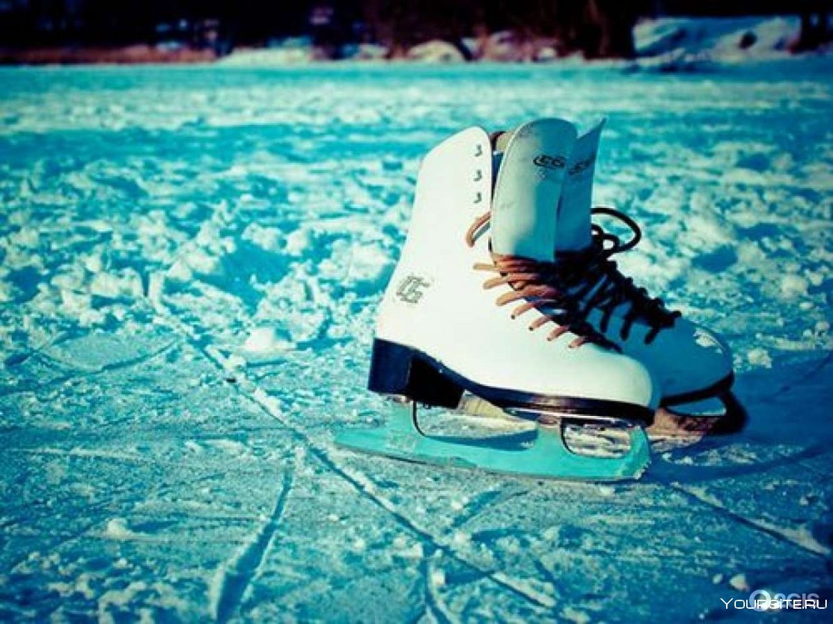 Коньки картинки на аватарку