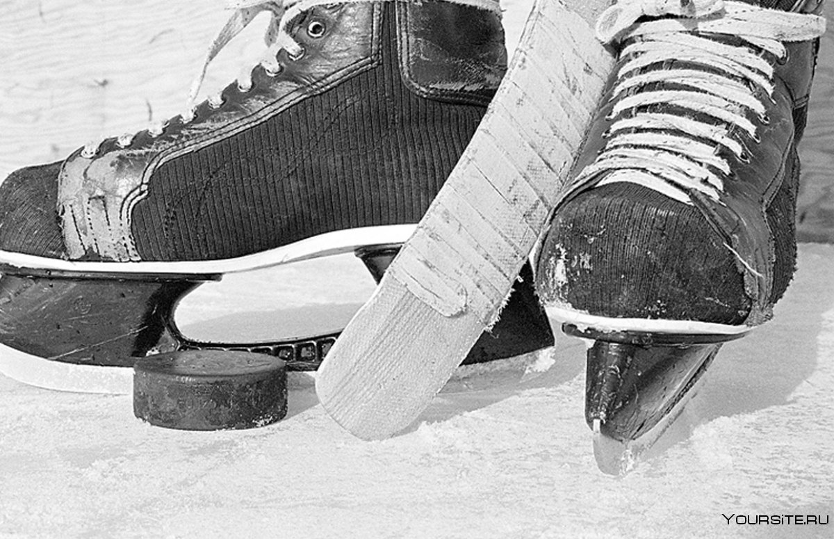 Коньки бежцы 1980