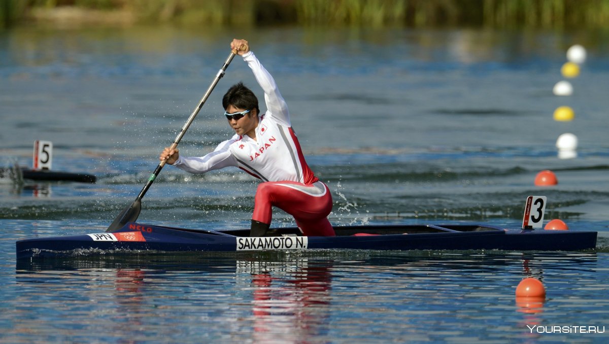 Rowing спорт
