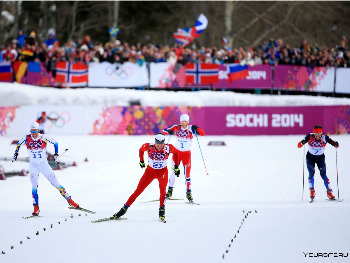 Лыжные гонки на зимних Олимпийских играх 2014