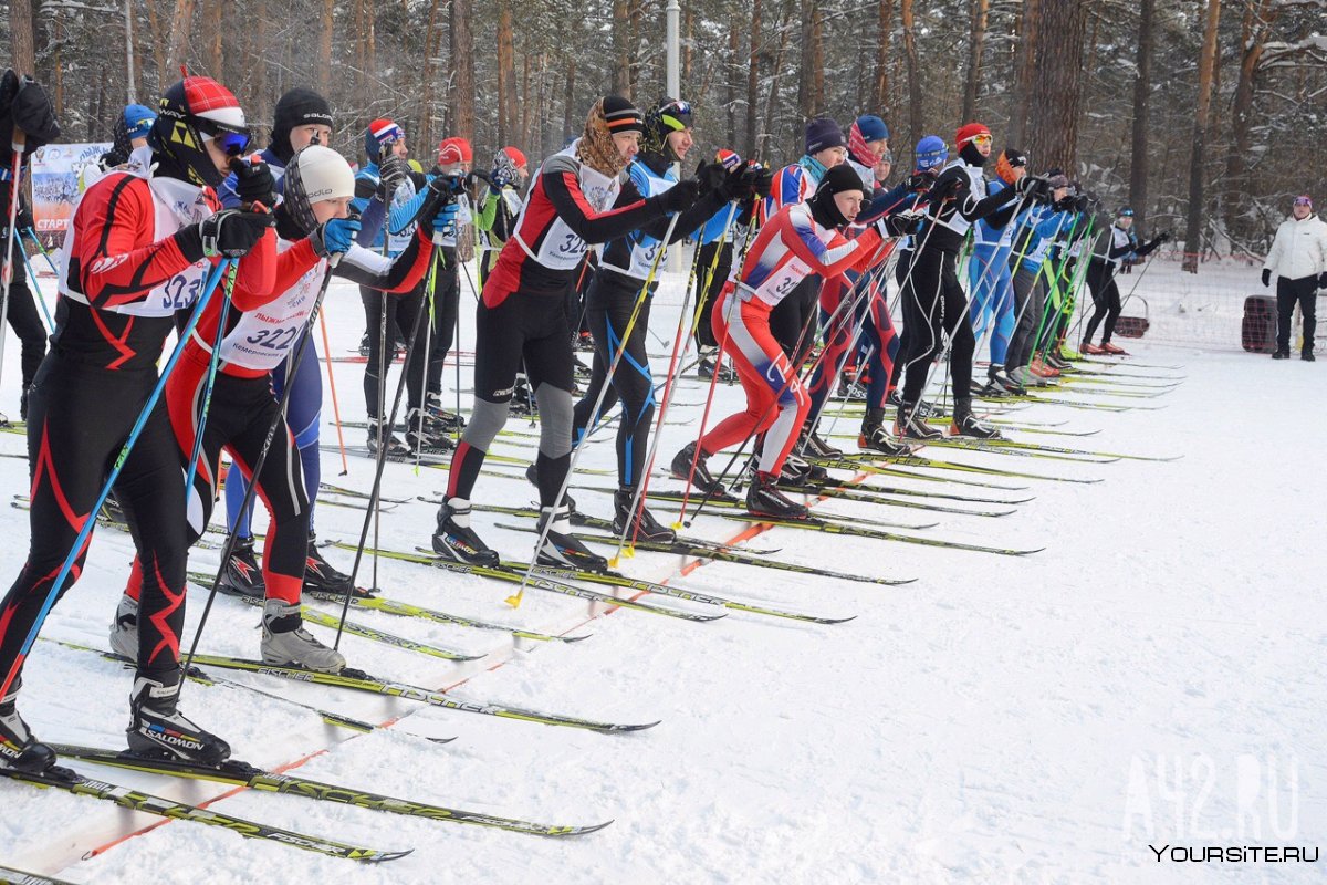 Лыжные гонки Лыжня России