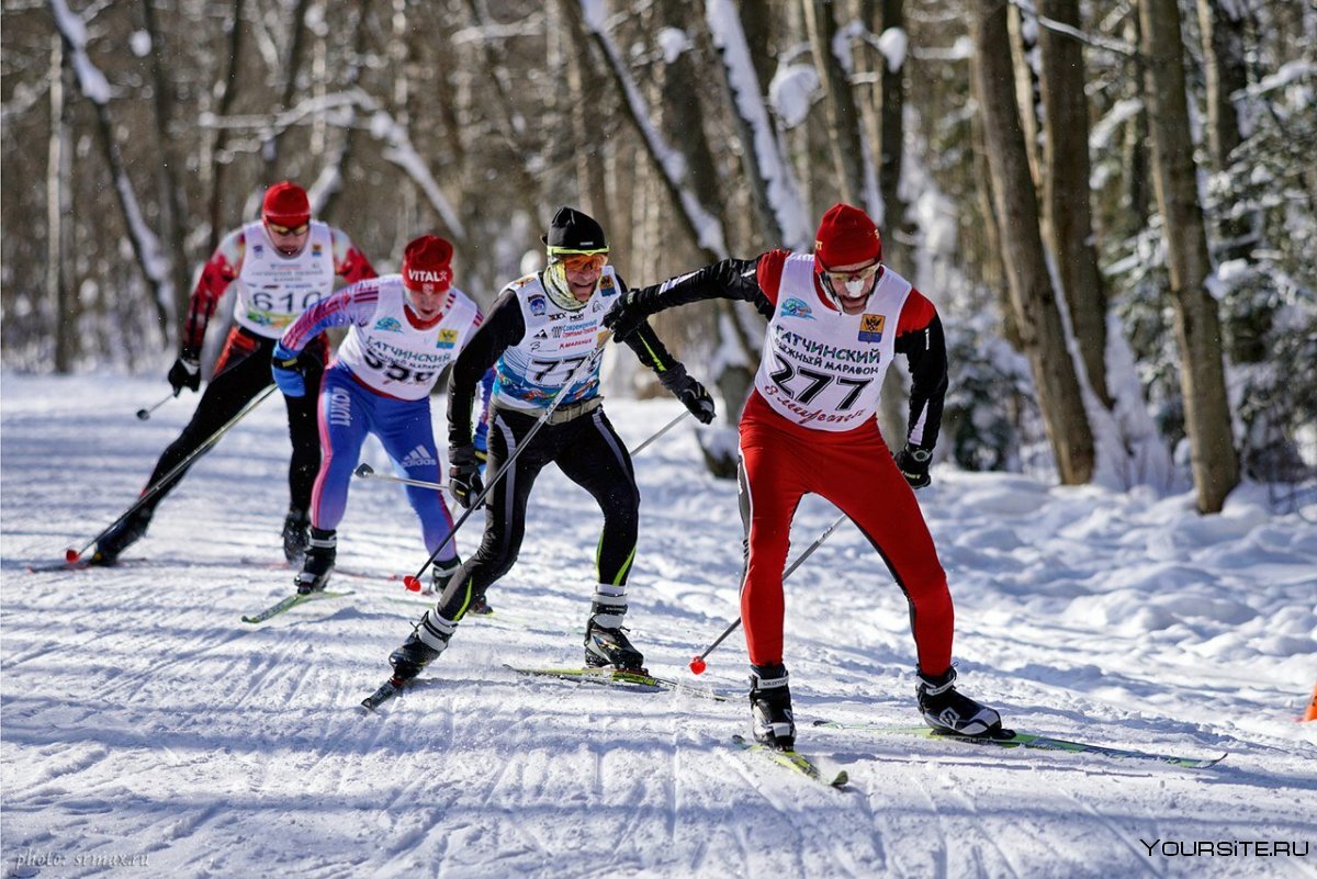 Лыжные гонки Бирюкова