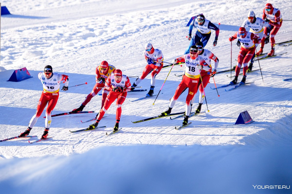 Ски спорт лыжные гонки