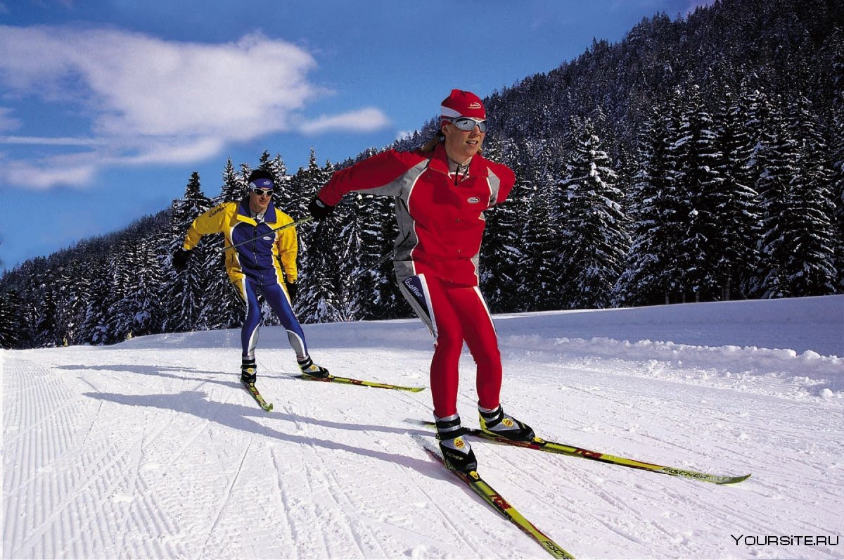 Беговые лыжи спортсмен
