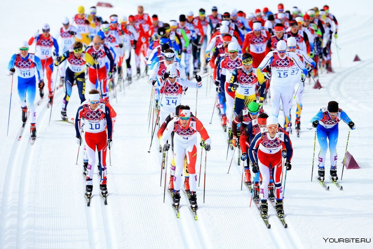Зимние виды спорта лыжные гонки