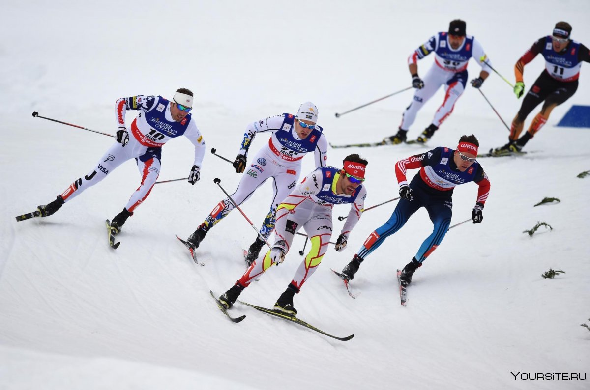 Лыжный спорт лыжные гонки спринт