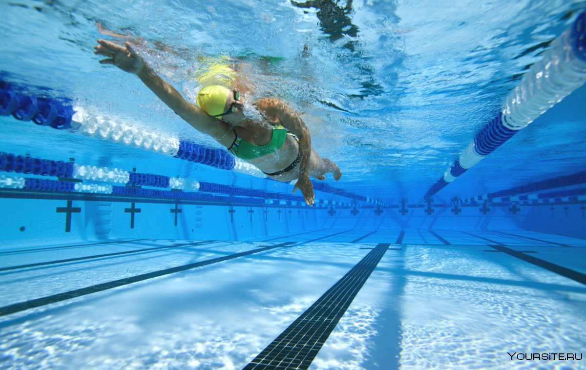 Спорт плавание