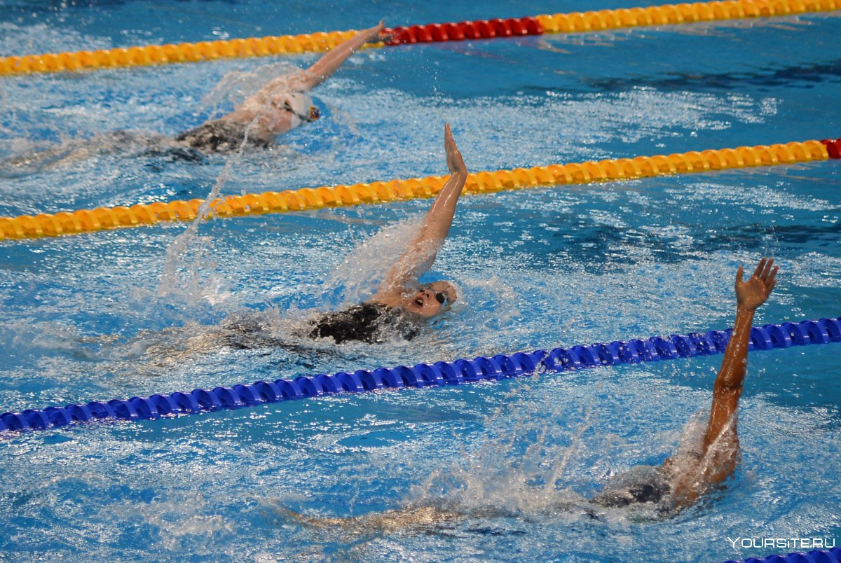 Спортивные соревнования по плаванию