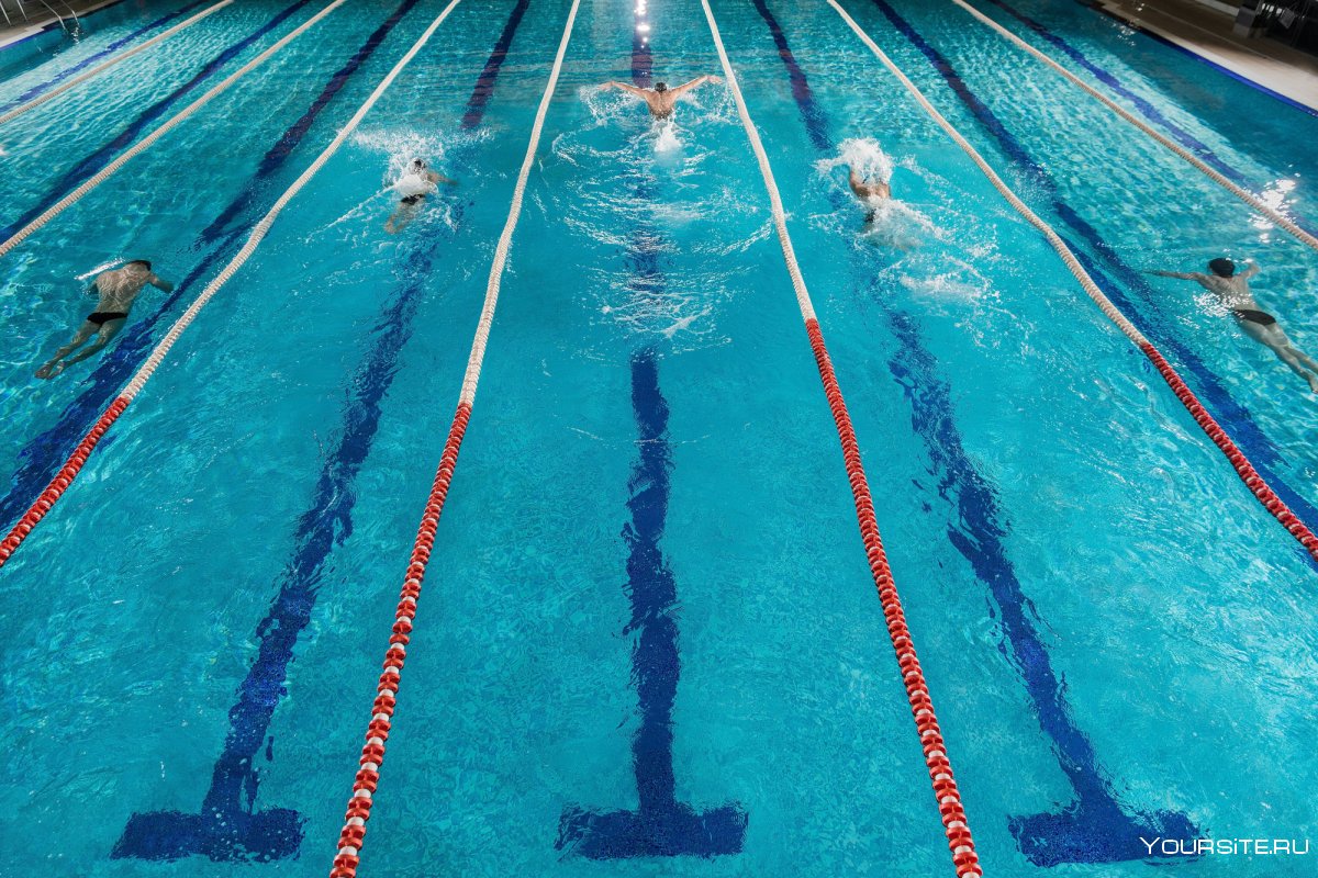 Эстафеты на воде в бассейне для спортсменов