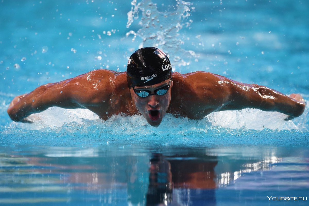 Пловцы Олимпийские чемпионы