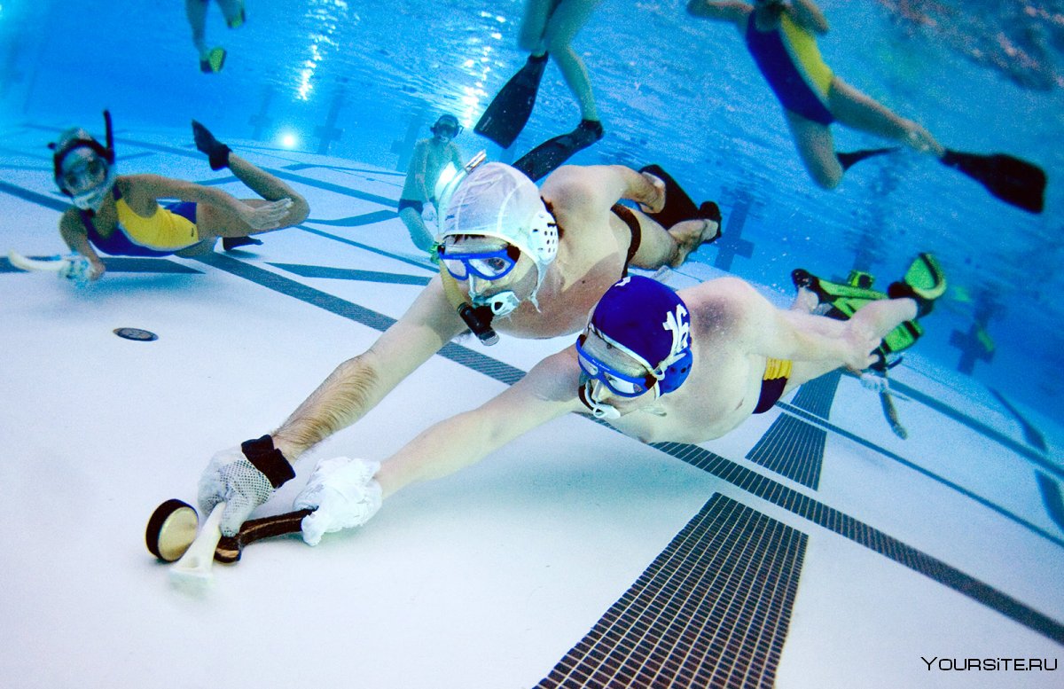 Подводный хоккей (Underwater Hockey)