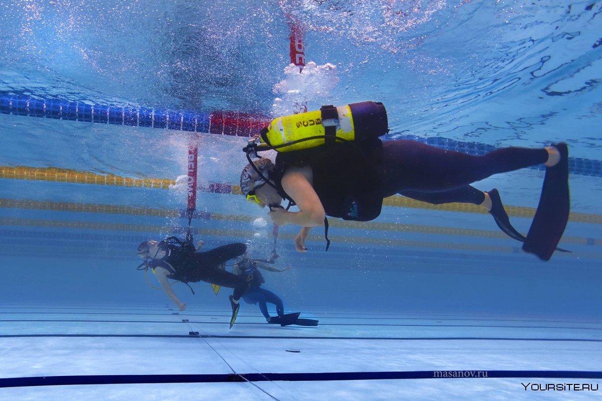 Прикладное плавание, подводные спорты