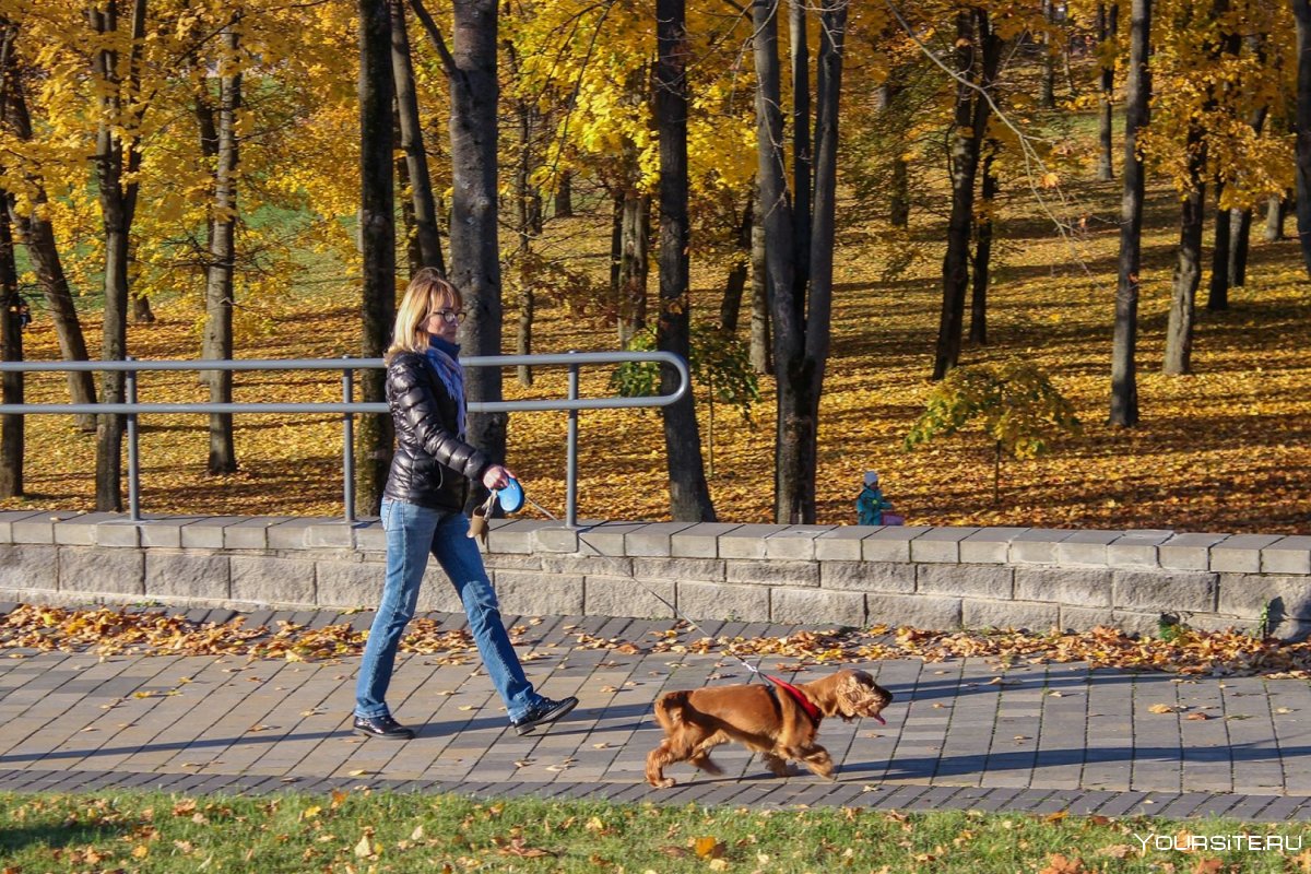 Осенние прогулки с собачкой