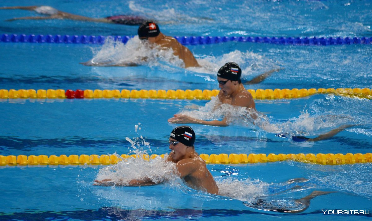 Плавание вид спорта