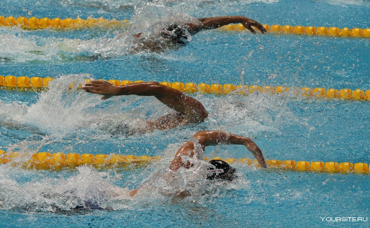 Плавание соревнования