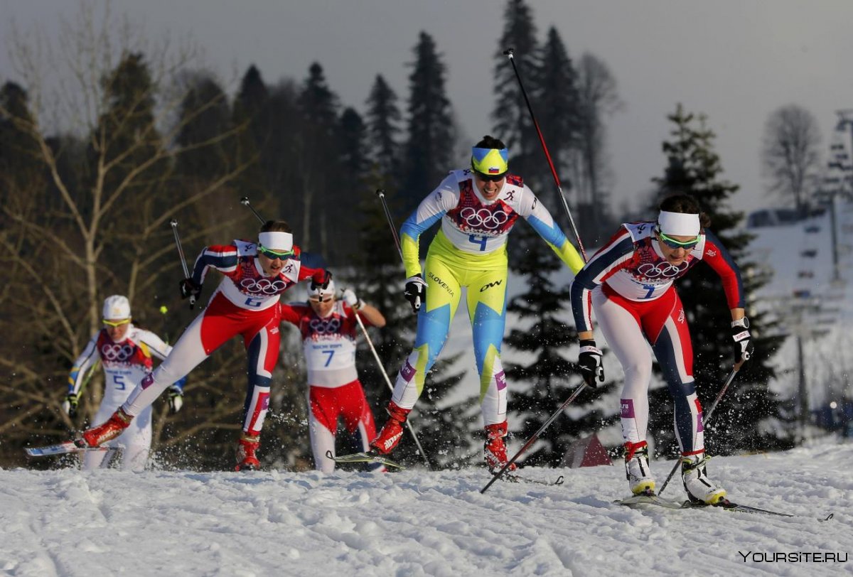 Лыжные гонки спринт трасса