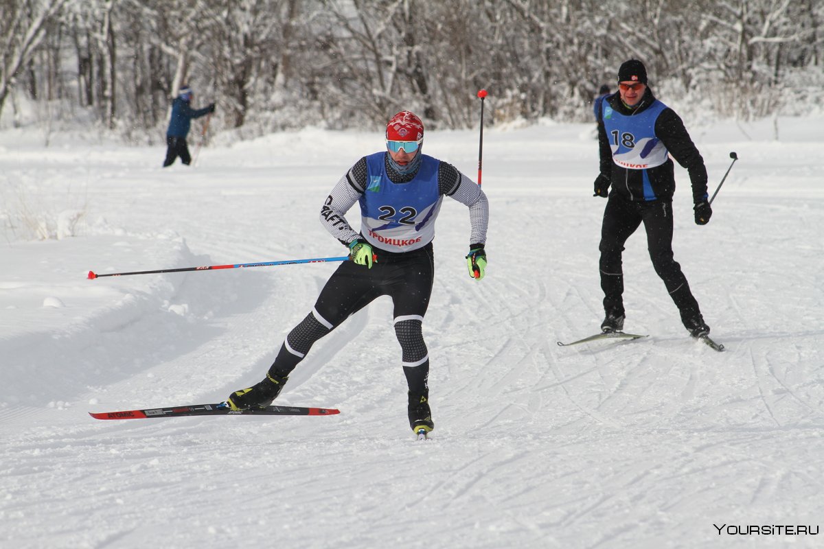 Лыжные гонки спринт трасса