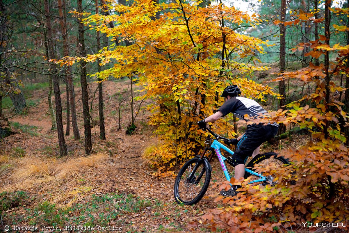 Велосипед в осеннем лесу