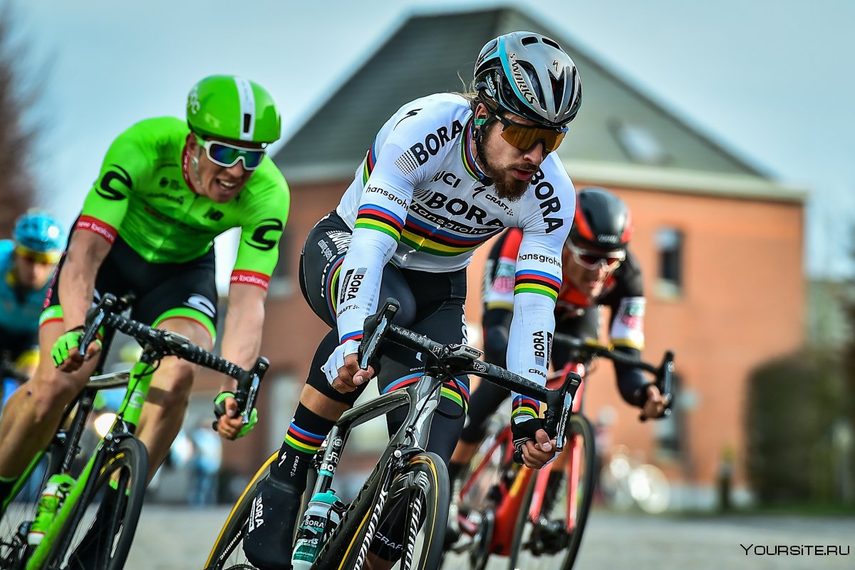 Peter Sagan гонки