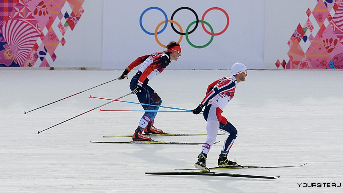 Лыжные гонки Олимпийский вид спорта