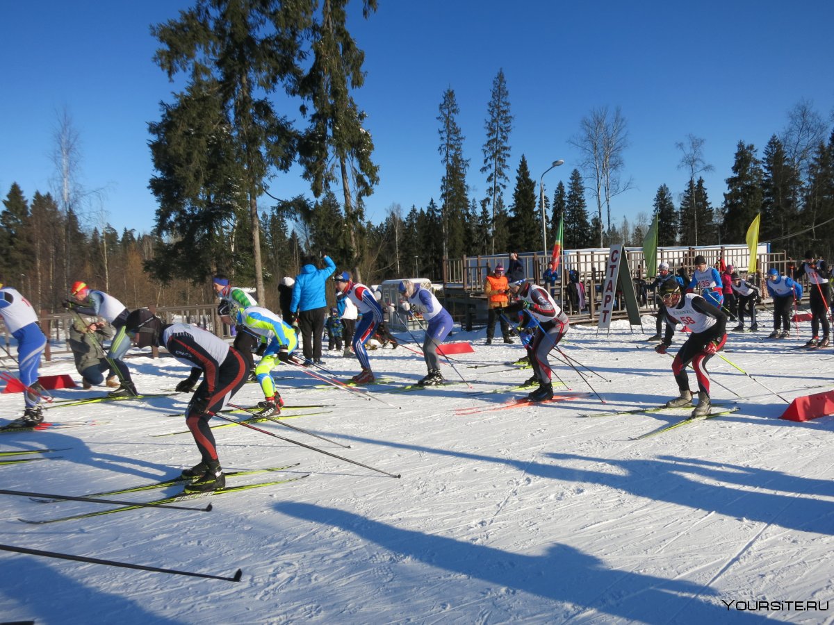 Лыжные соревнования в Зеленограде