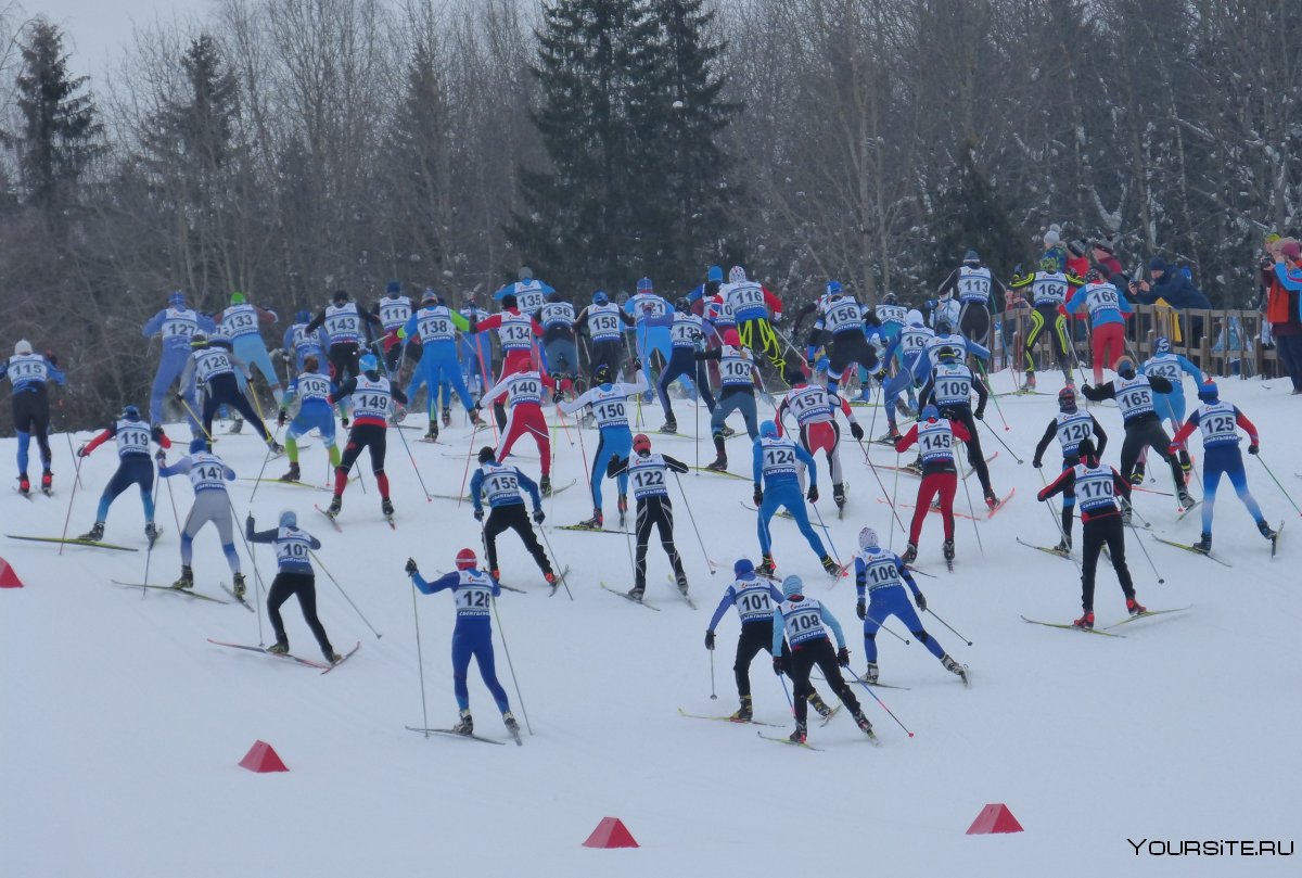 Всероссийская лыжная гонка Лыжня России 2020 Москва