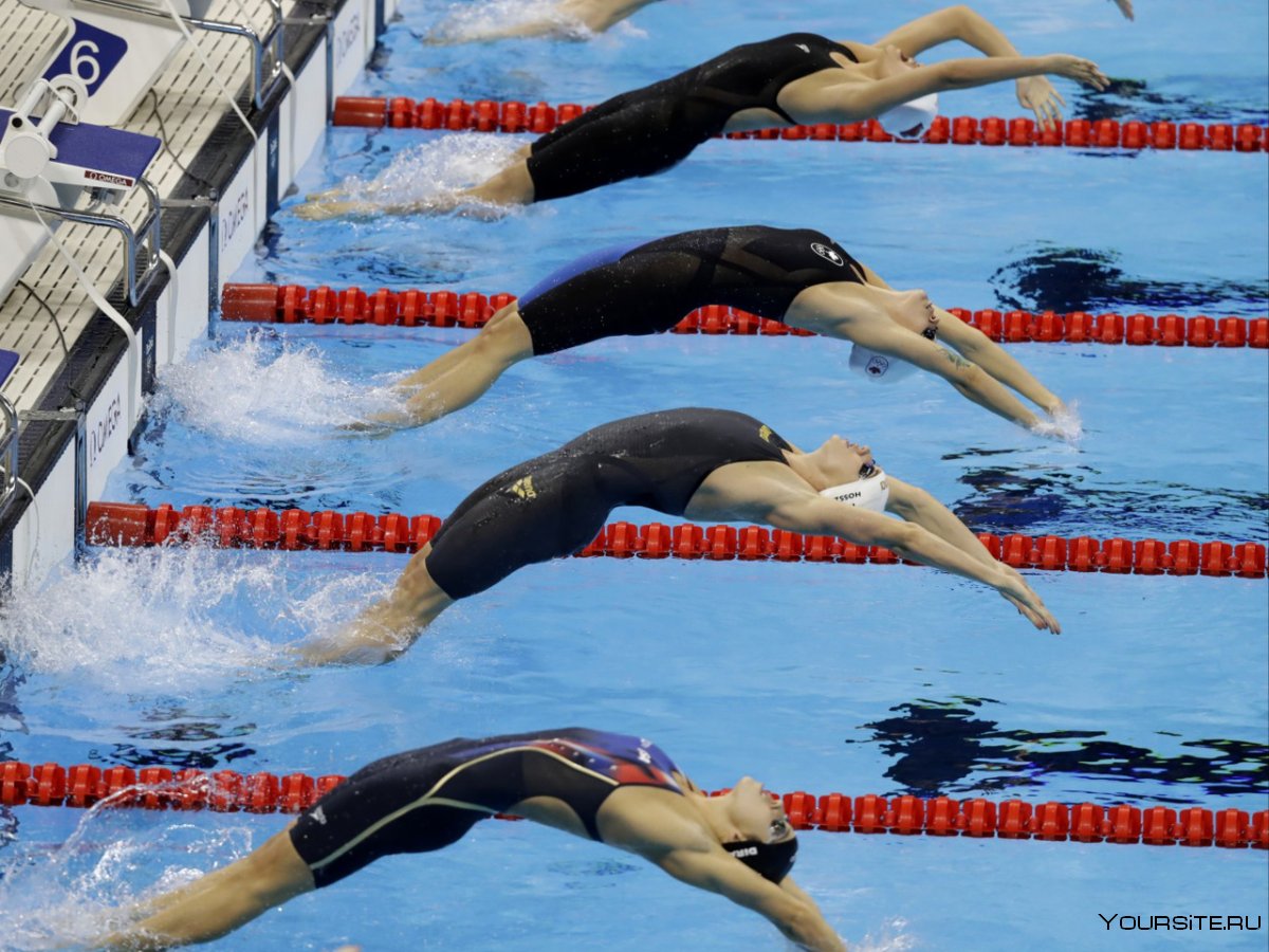 Олимпийские соревнования по плаванию