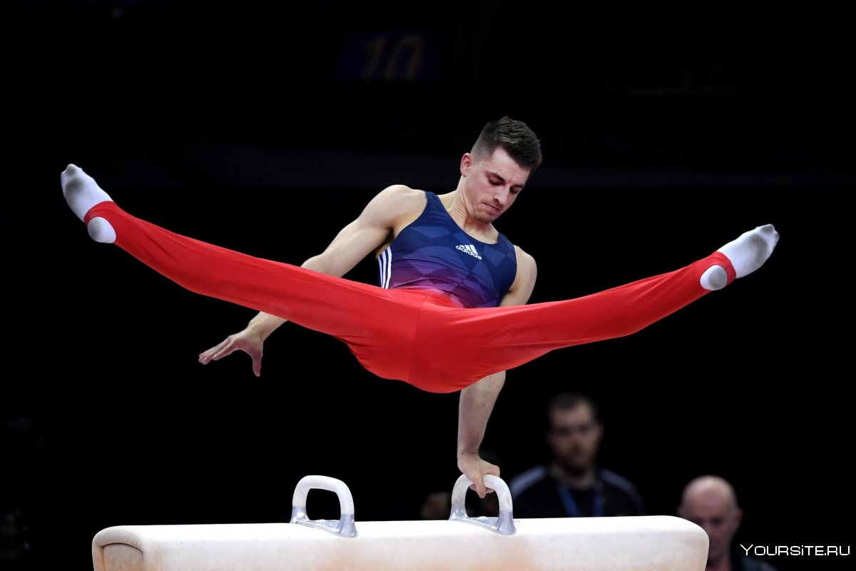 Гасилин Сергей Александрович спортивная гимнастика