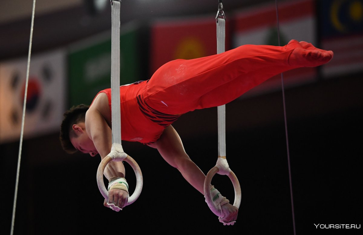 Афанасьева Ксения Дмитриевна спортивная гимнастика