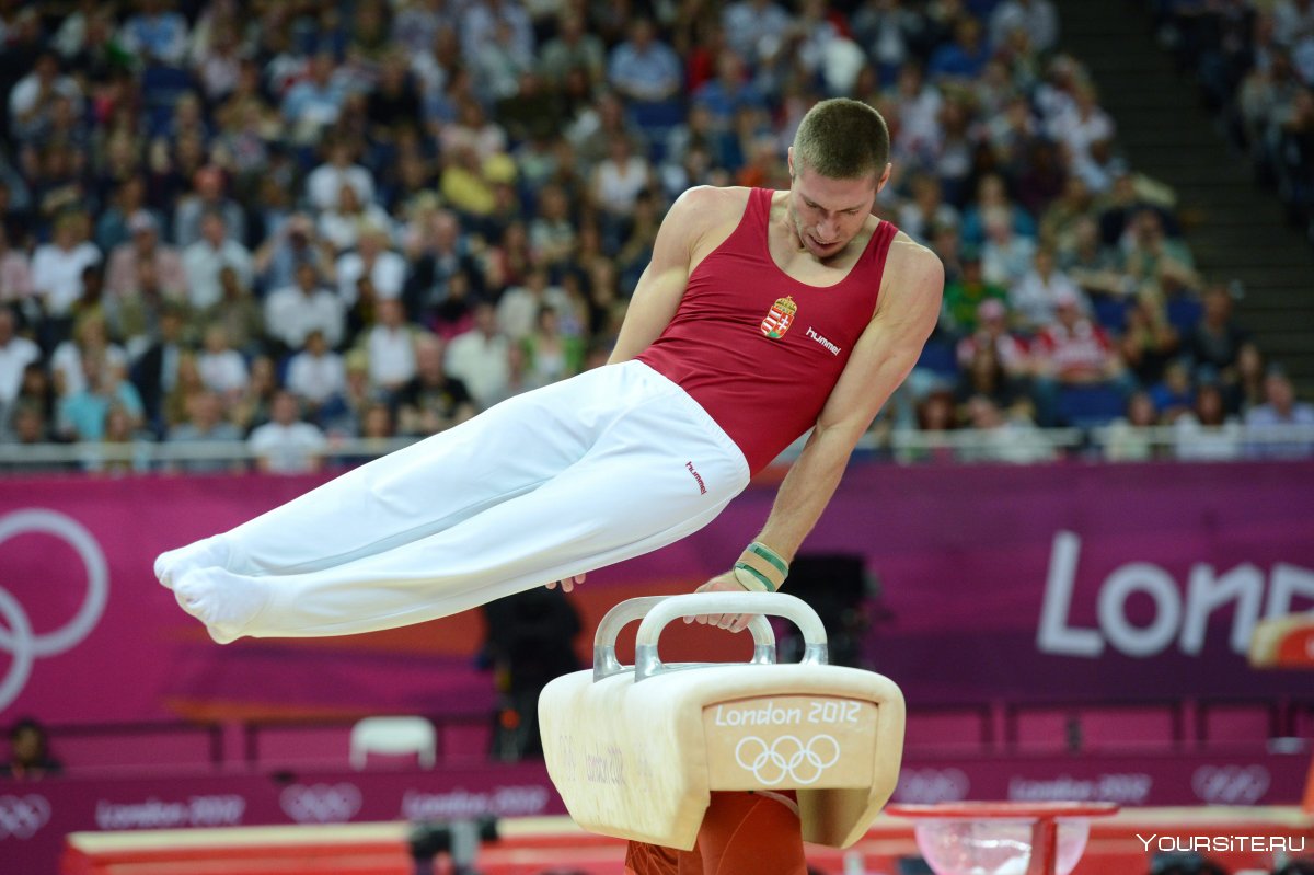 Спортивная гимнастика Нагорный