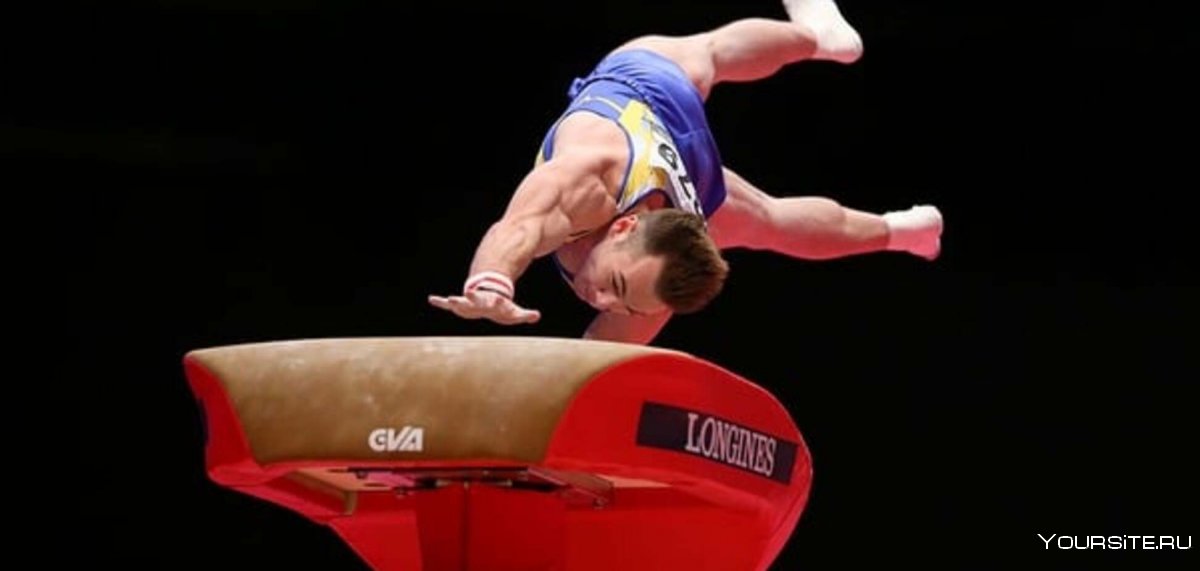 Vaulting Gymnastics