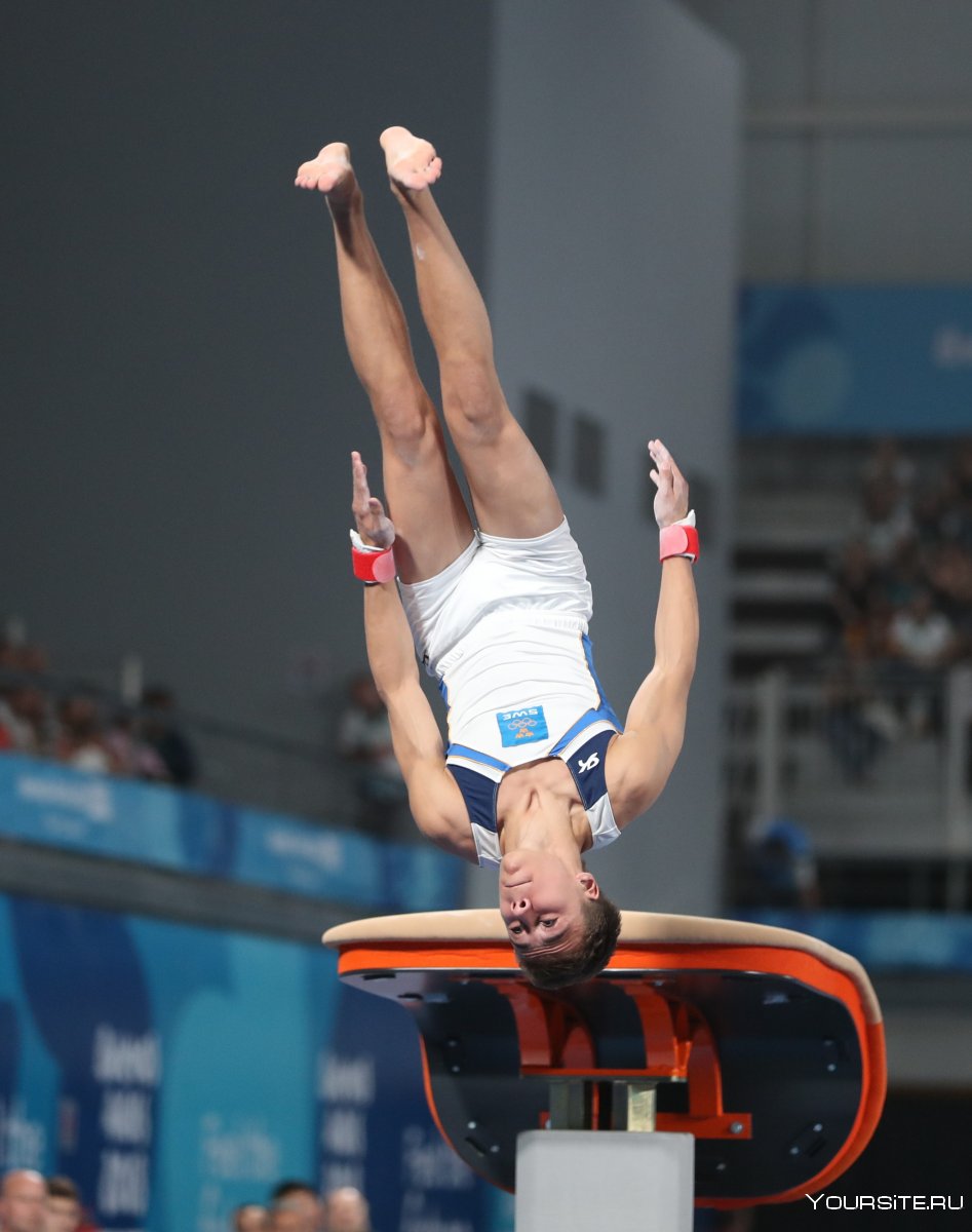 Vaulting Horse Gymnastics