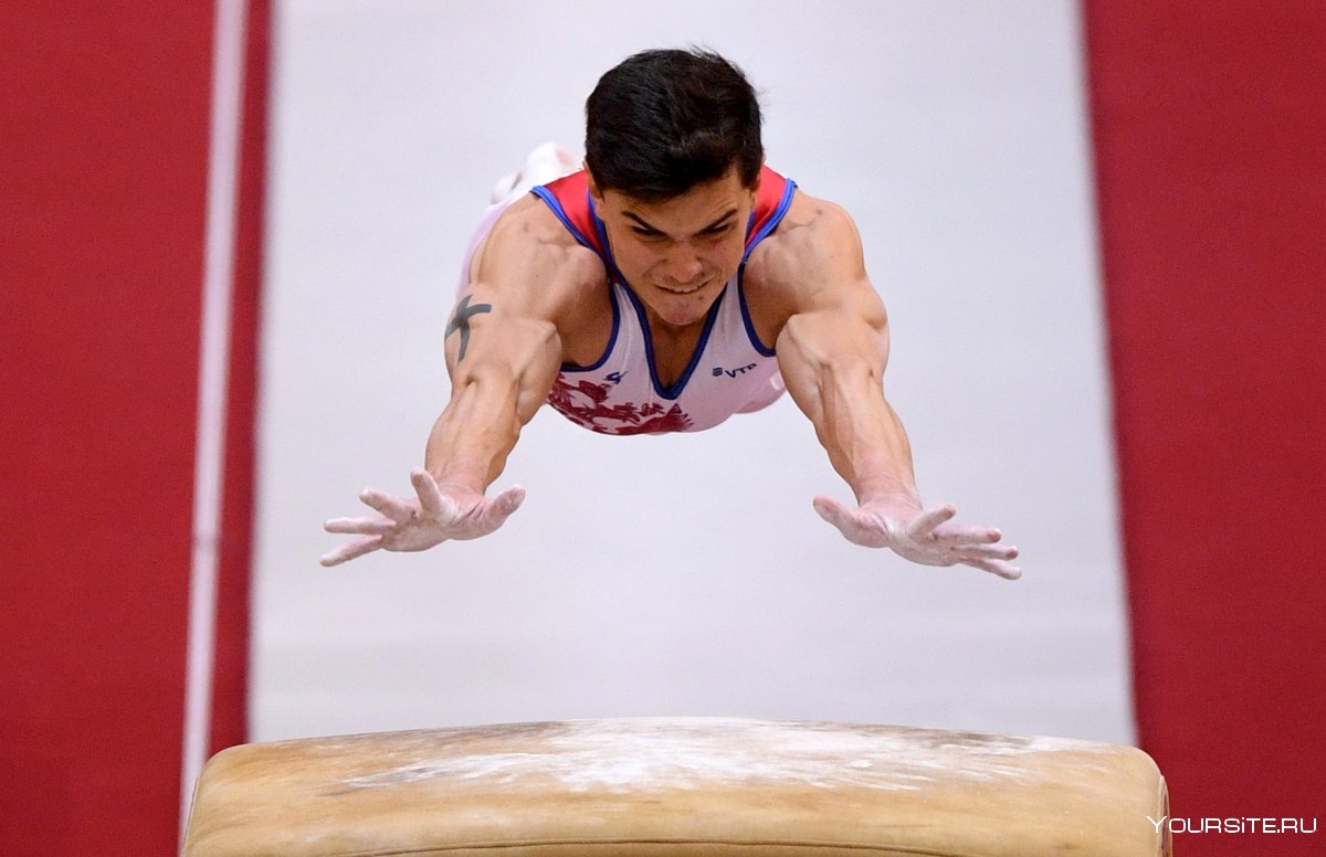 Чемпионат Европы по спортивной гимнастике
